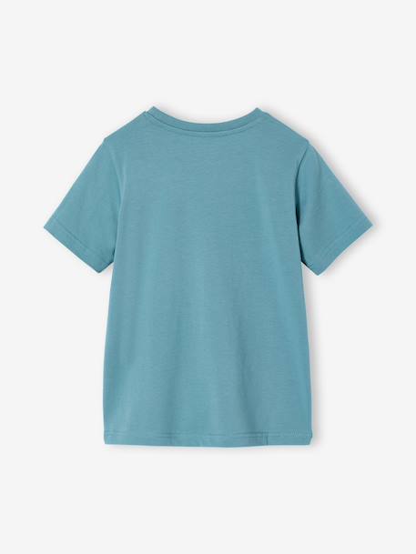 T-shirt garçon imprimé blanc chiné+bleu moyen+menthe+ocre+olive+terracotta+vert d'eau - vertbaudet enfant 