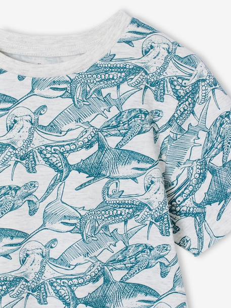 T-shirt voor jongens met print gemêleerd wit+jeansblauw+korstmos+mintgroen - vertbaudet enfant 