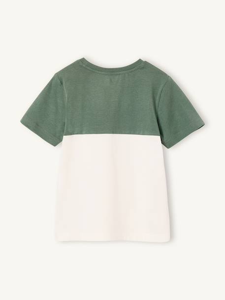 T-shirt garçon coloblock manches courtes ardoise+menthe+orange+vert anglais - vertbaudet enfant 