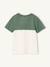 T-shirt garçon coloblock manches courtes ardoise+menthe+orange+vert anglais - vertbaudet enfant 