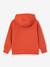 Sweater met capuchon en motief op de borst Basics jongens saliegroen+sinaasappel - vertbaudet enfant 