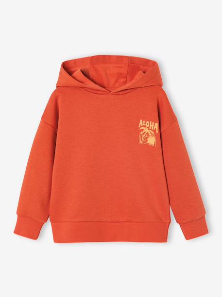 Sweater met capuchon en motief op de borst Basics jongens saliegroen+sinaasappel - vertbaudet enfant 