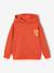Sweater met capuchon en motief op de borst Basics jongens saliegroen+sinaasappel - vertbaudet enfant 
