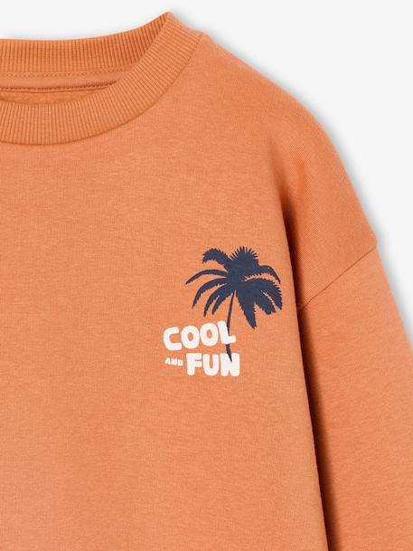 Lot de 2 sweats 'Cool and Fun' terracotta+tomette - vertbaudet enfant 