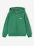Sweater met rits jongen Basics groen+marineblauw - vertbaudet enfant 