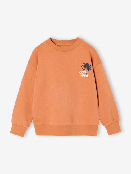 Set van 2 sweaters 'Cool and Fun' terracotta+terracottategel - vertbaudet enfant 