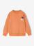 Set van 2 sweaters 'Cool and Fun' terracotta+terracottategel - vertbaudet enfant 