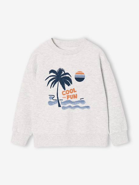 Lot de 2 sweats 'Cool and Fun' terracotta+tomette - vertbaudet enfant 