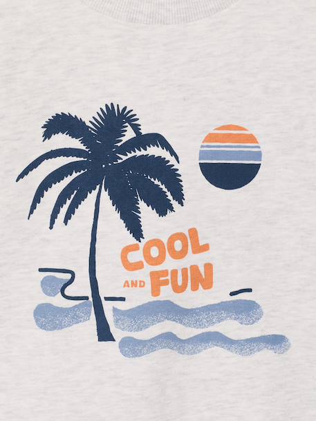 Lot de 2 sweats 'Cool and Fun' terracotta+tomette - vertbaudet enfant 