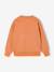 Lot de 2 sweats 'Cool and Fun' terracotta+tomette - vertbaudet enfant 