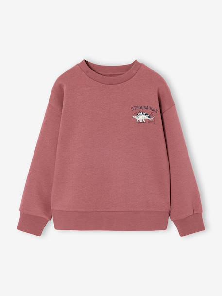 Lot de 2 sweats 'Cool and Fun' terracotta+tomette - vertbaudet enfant 