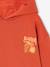 Sweater met capuchon en motief op de borst Basics jongens saliegroen+sinaasappel - vertbaudet enfant 