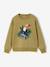 Sweater jongen met ronde hals en lange mouwen nachtblauw+olijf - vertbaudet enfant 
