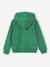 Sweater met rits jongen Basics groen+marineblauw - vertbaudet enfant 