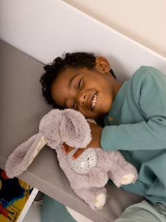 -Veilleuse projecteur d'étoiles Dreams Buddies