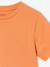 Lot 3 T-shirts manches courtes bleu pétrole+caramel+marine+noix de pécan+vert amande+vert sauge - vertbaudet enfant 