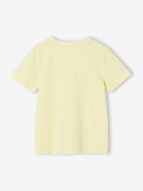 T-shirt garçon personnalisable manches courtes aubergine+blanc+BLEU+jaune pâle+rouge+sauge - vertbaudet enfant 
