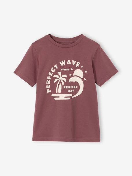 T-shirt voor jongens met print blauwgroen+gemêleerd wit+middenblauw+mintgroen+okergeel+olijf+terracotta - vertbaudet enfant 