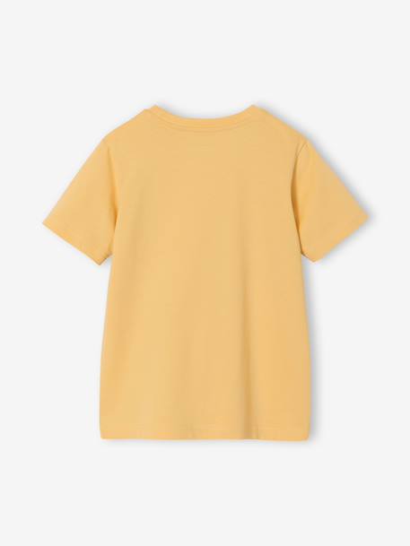 T-shirt garçon imprimé blanc chiné+bleu moyen+menthe+ocre+olive+terracotta+vert d'eau - vertbaudet enfant 