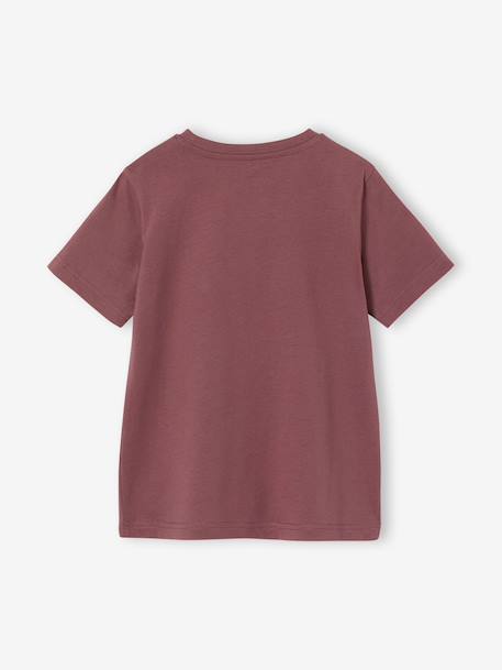 T-shirt voor jongens met print blauwgroen+gemêleerd wit+middenblauw+mintgroen+okergeel+olijf+terracotta - vertbaudet enfant 