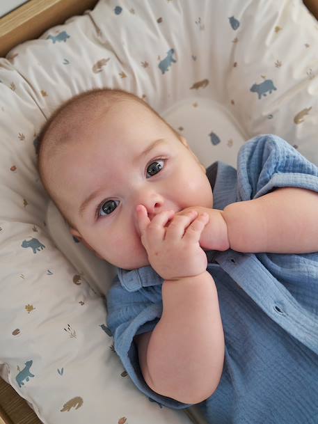 Verschoningsmatras VERTBAUDET  Leeuwen welp beige, bedrukt+ecru+groen, bedrukt+WIT GEDRUKTE - vertbaudet enfant 