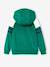 Sportsweater met raglanmouwen en ritssluiting voor jongens groen+marineblauw+pecannoot - vertbaudet enfant 