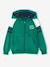 Sweat garçon zippé à capuche sport manches raglan marine+noix de pécan+vert - vertbaudet enfant 