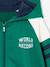 Sweat garçon zippé à capuche sport manches raglan marine+noix de pécan+vert - vertbaudet enfant 