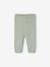 Babyset voor babyjongens, 3-delig, gebreid saliegroen - vertbaudet enfant 