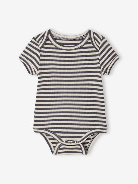 Lot 3 bodies bébé manches courtes chien anthracite - vertbaudet enfant 