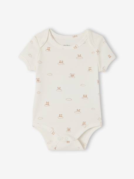 Lot 5 bodies manches courtes lapin nuage écru - vertbaudet enfant 