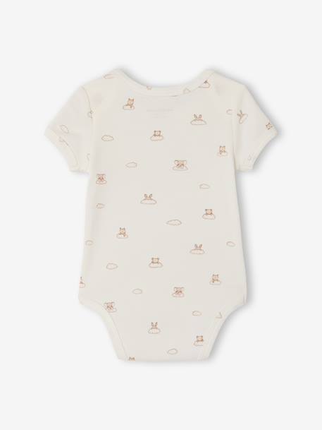 Lot 5 bodies manches courtes lapin nuage écru - vertbaudet enfant 
