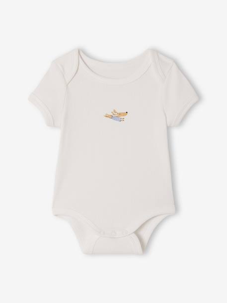 Lot 3 bodies bébé manches courtes chien anthracite - vertbaudet enfant 