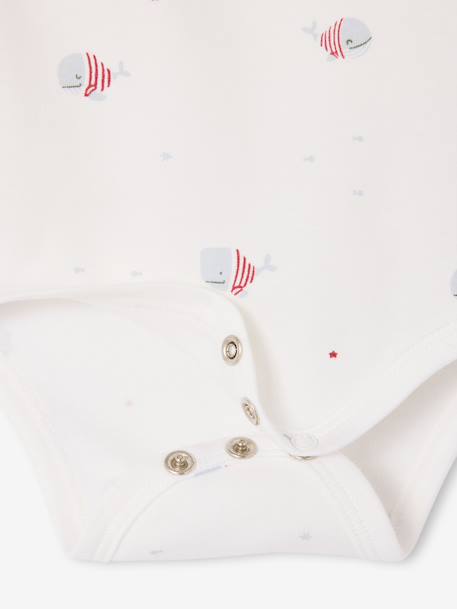 Set van 5 body's met lange mouwen walvis blauw - vertbaudet enfant 