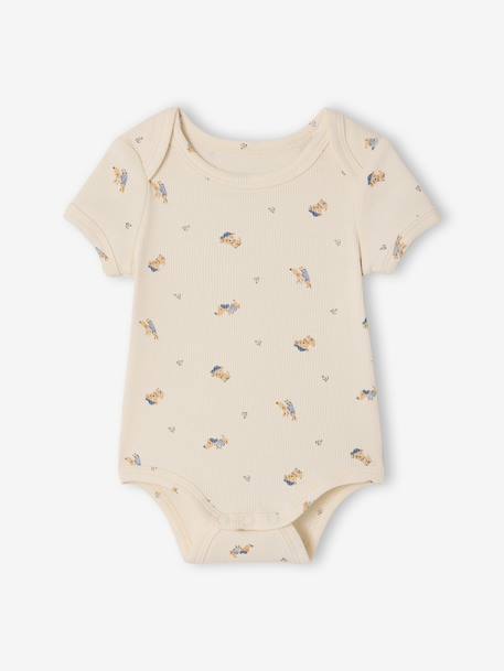 Lot 3 bodies bébé manches courtes chien anthracite - vertbaudet enfant 