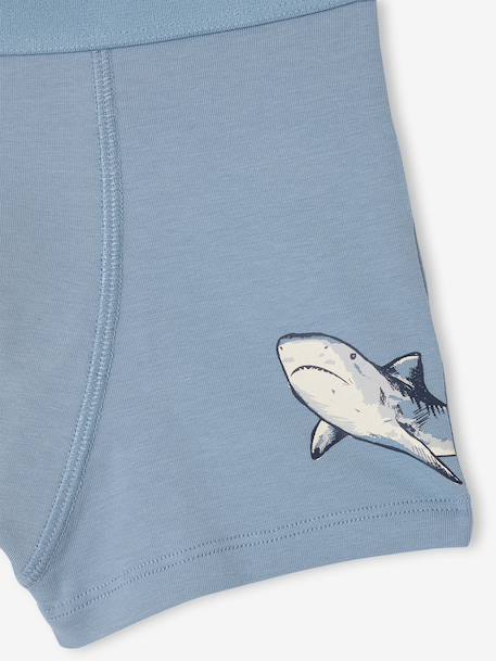 Set van 5 boxershorts voor jongens met haaien grijsblauw - vertbaudet enfant 