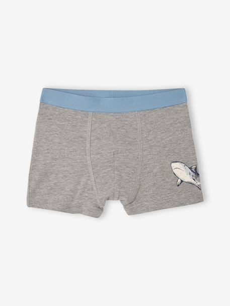 Lot 5 boxers garçon requin bleu grisé - vertbaudet enfant 