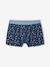 Set van 5 boxershorts voor jongens met haaien grijsblauw - vertbaudet enfant 