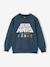 Sweat shirt Star Wars bleu nuit - vertbaudet enfant 