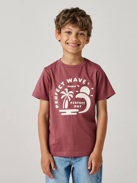 T-shirt garçon imprimé blanc chiné+bleu moyen+menthe+ocre+olive+terracotta+vert d'eau - vertbaudet enfant 