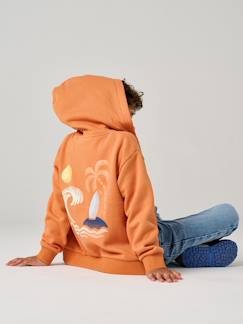 -Sweat zippé garçon capuche