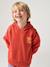 Sweat garçon à capuche motif poitrine orange+vert sauge - vertbaudet enfant 