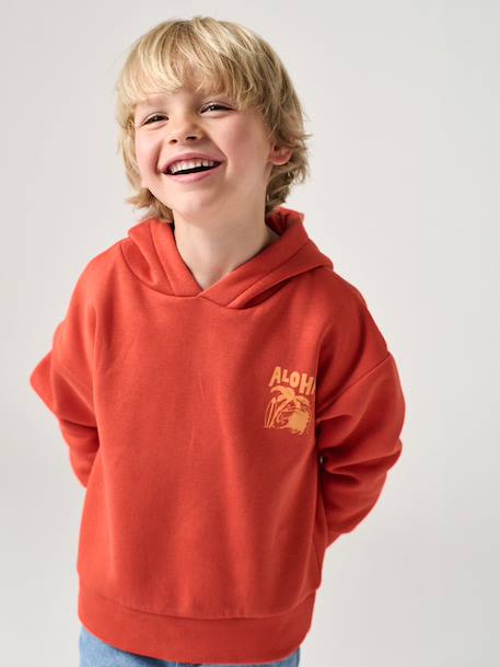 Sweater met capuchon en motief op de borst Basics jongens saliegroen+sinaasappel - vertbaudet enfant 