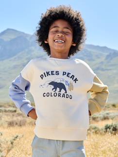 -Sweat garçon col rond manches lo