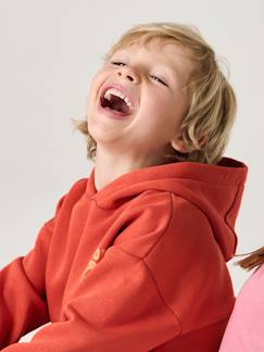 - Sweater met capuchon en motief op de borst Basics jongens