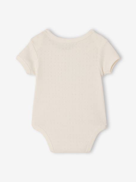 Lot 3 bodies manches courtes en pointelle vert sauge - vertbaudet enfant 