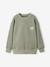 Lot 2 sweats manches longues graffiti vert sauge - vertbaudet enfant 