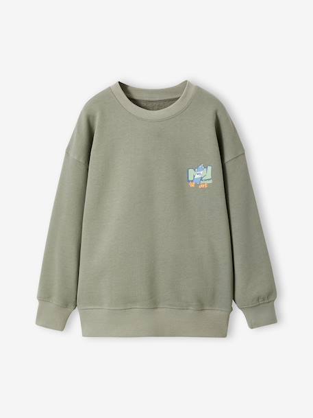 Set van 2 sweaters voor jongens met lange mouwen saliegroen - vertbaudet enfant 