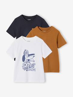-Set van 3 T-shirt met korte mouwen