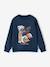 Sweater jongen met ronde hals en lange mouwen nachtblauw+olijf - vertbaudet enfant 